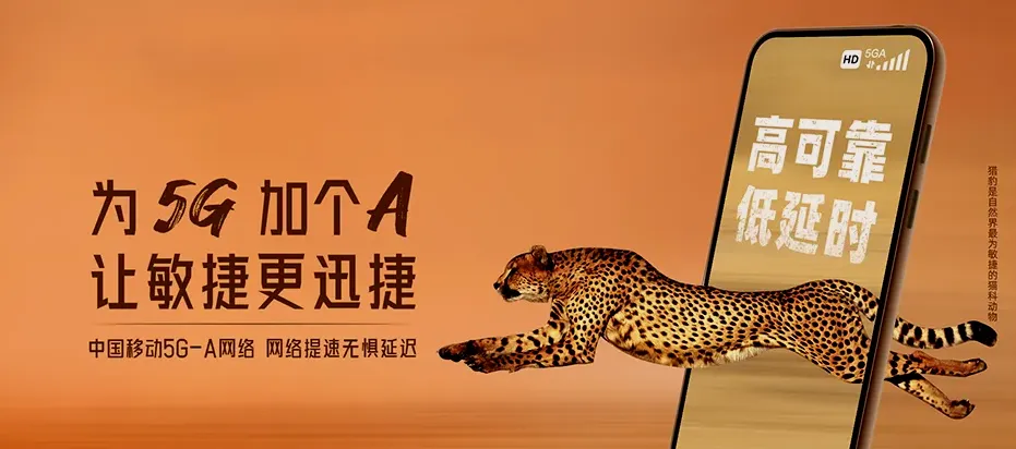 常宁市常宁市板桥镇 移动宽带